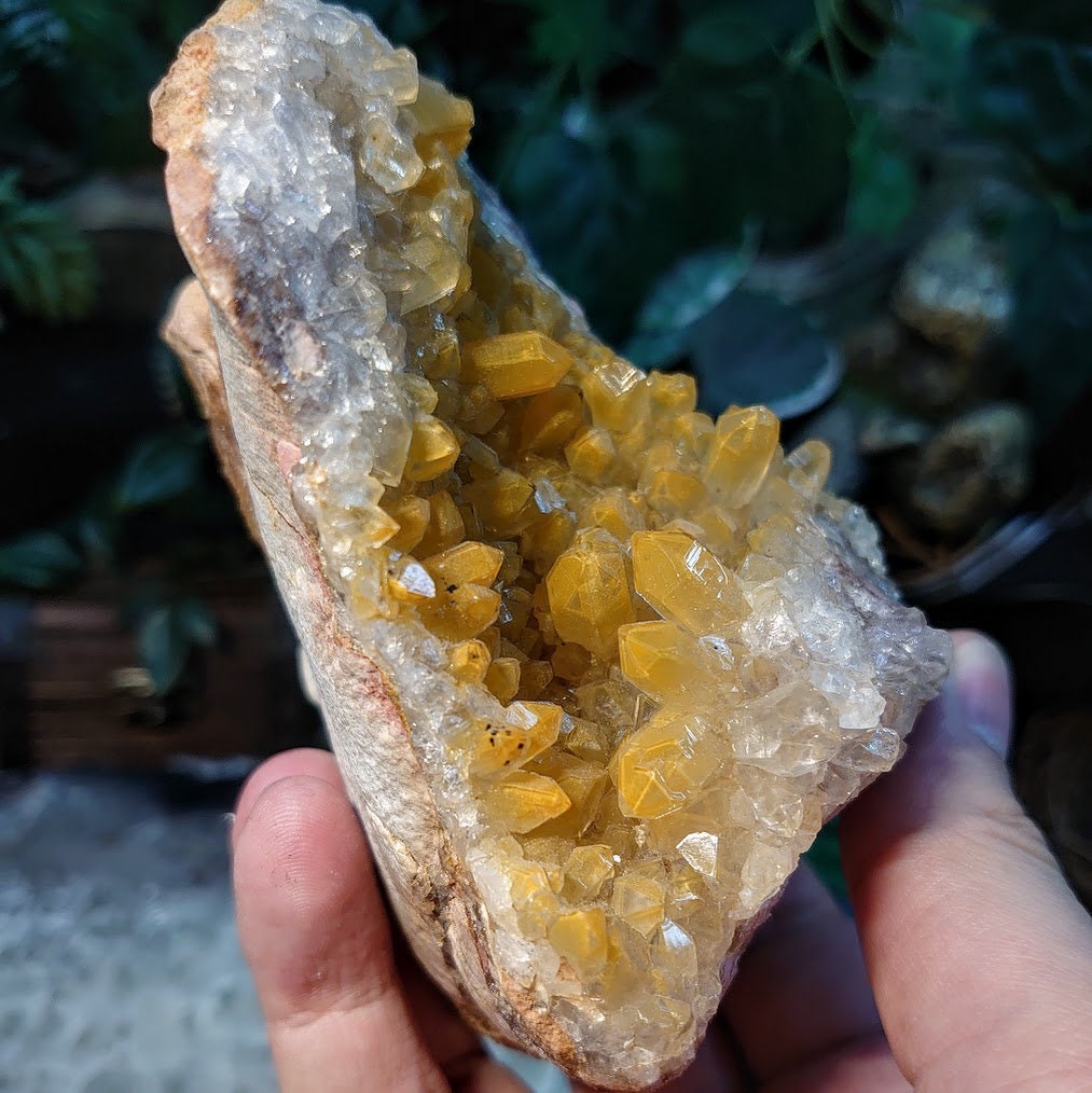 Natural Limonite Golden Healer Geode with Yellow Phantoms from Zambia, Africa for Crystal Healing / 730g / Reiki / Home Decor / Cabinet Size