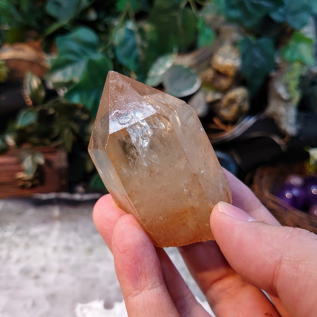 2 1/2" Natural Kundalini Congo Citrine Point for Altar and Home Decor / 125g / Energy Work / Crystal Healing / Reiki