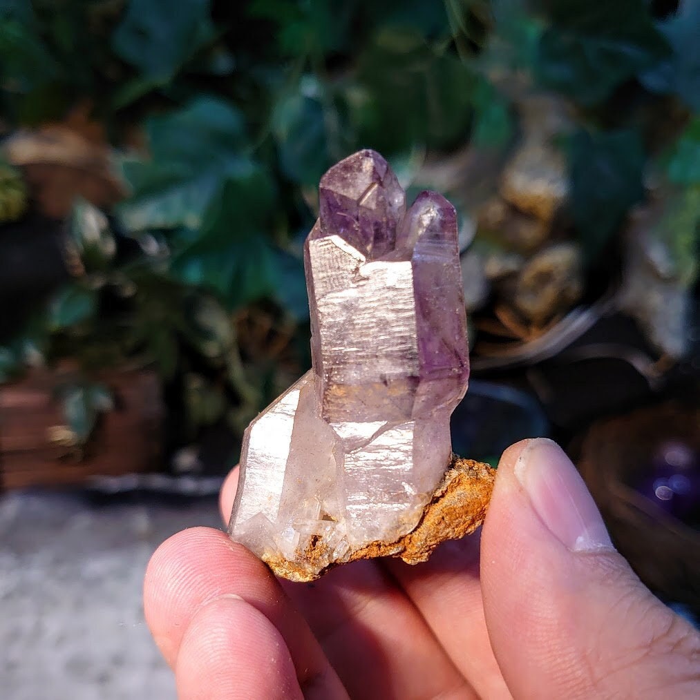 Shangaan Smoky Amethyst Scepter Cluster on Matrix from Zimbabwe for Collection / 39.35g / Meditation/ Miniature Class