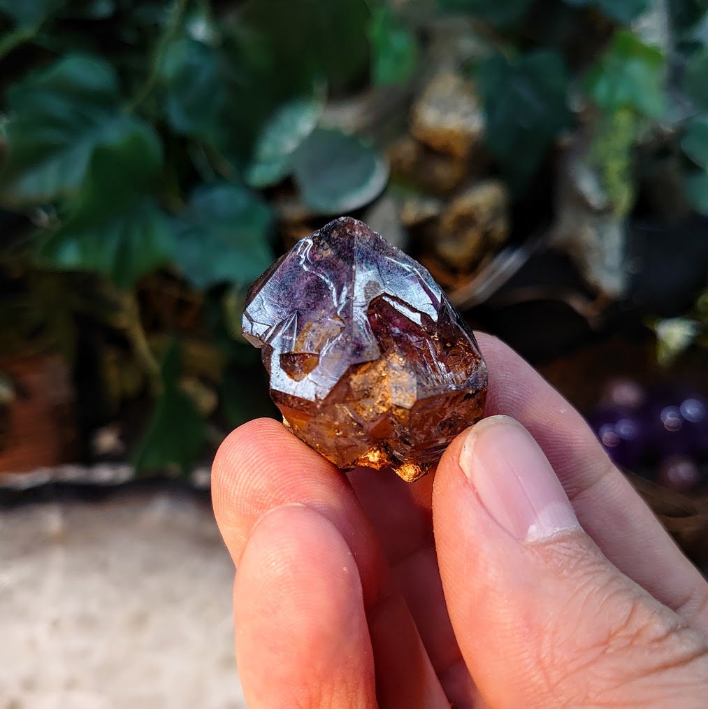 Skeletal Shangaan Smoky Amethyst Point from Zimbabwe for Collection / 21.10g / Meditation/ Miniature Class