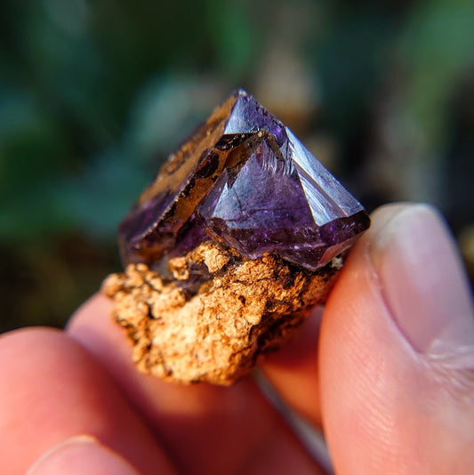 Skeletal Shangaan Smoky Amethyst Point from Zimbabwe for Collection / 21.10g / Meditation/ Miniature Class