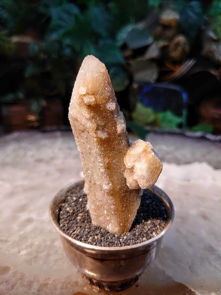 3 1/2" Witch Finger Quartz Cluster from Boekenhouthoek, Mpumalanga, South Africa for Home and Altar Decor / 52.83g / Reiki / Collection