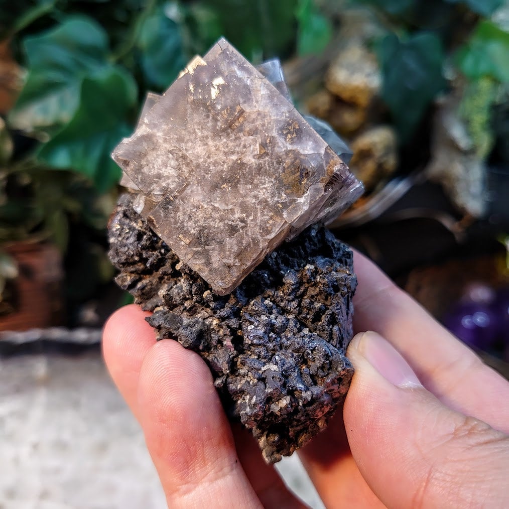 Smoky Purple Fluorite Cluster on Galena "Purple Rain Pocket" on Matrix From United Kingdom for Altar Decor / 350g / Small Cabinet Size