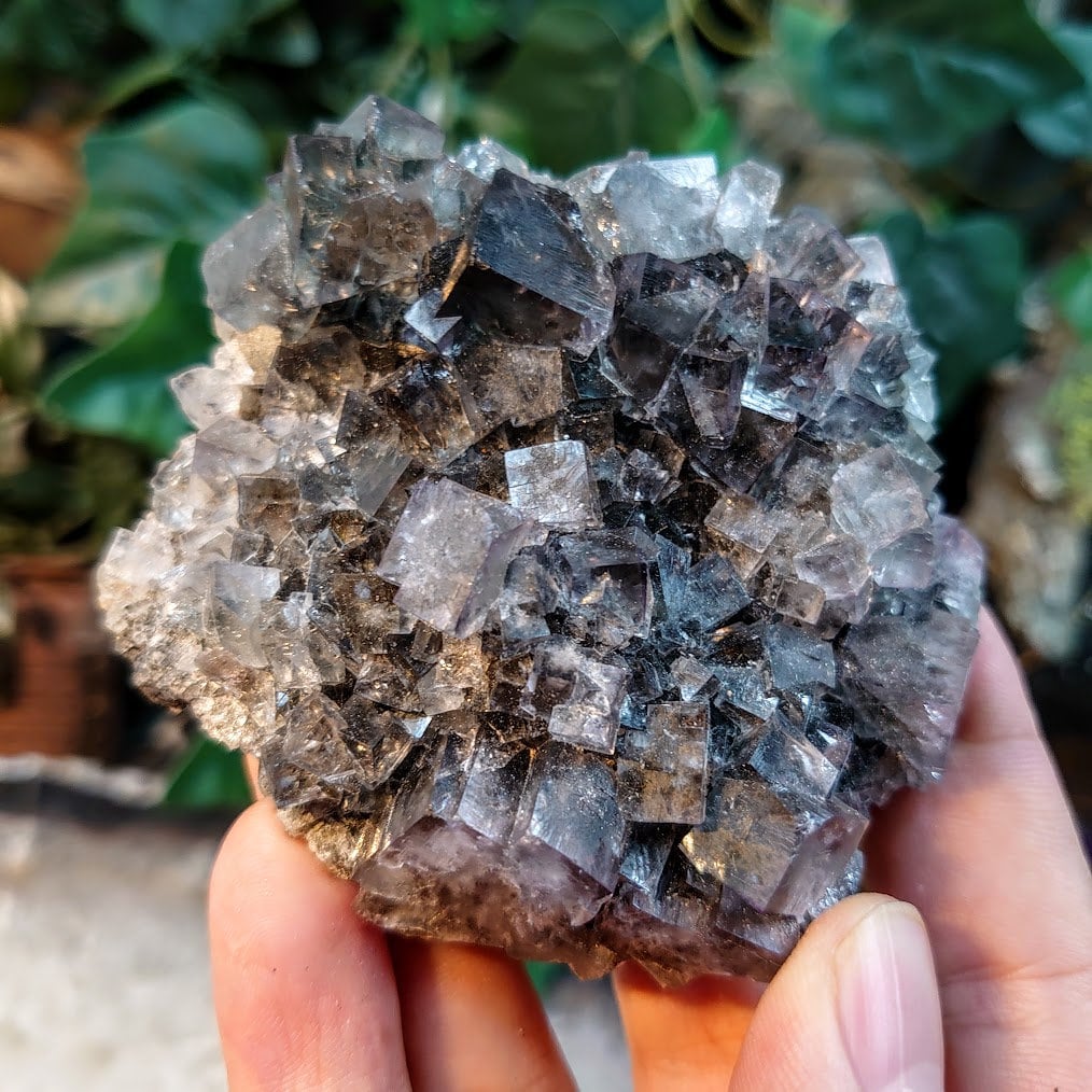 Smoky Purple Fluorite Cluster "Purple Rain Pocket" on Matrix From United Kingdom for Altar Decor / 218g / Small Cabinet Size / Collection