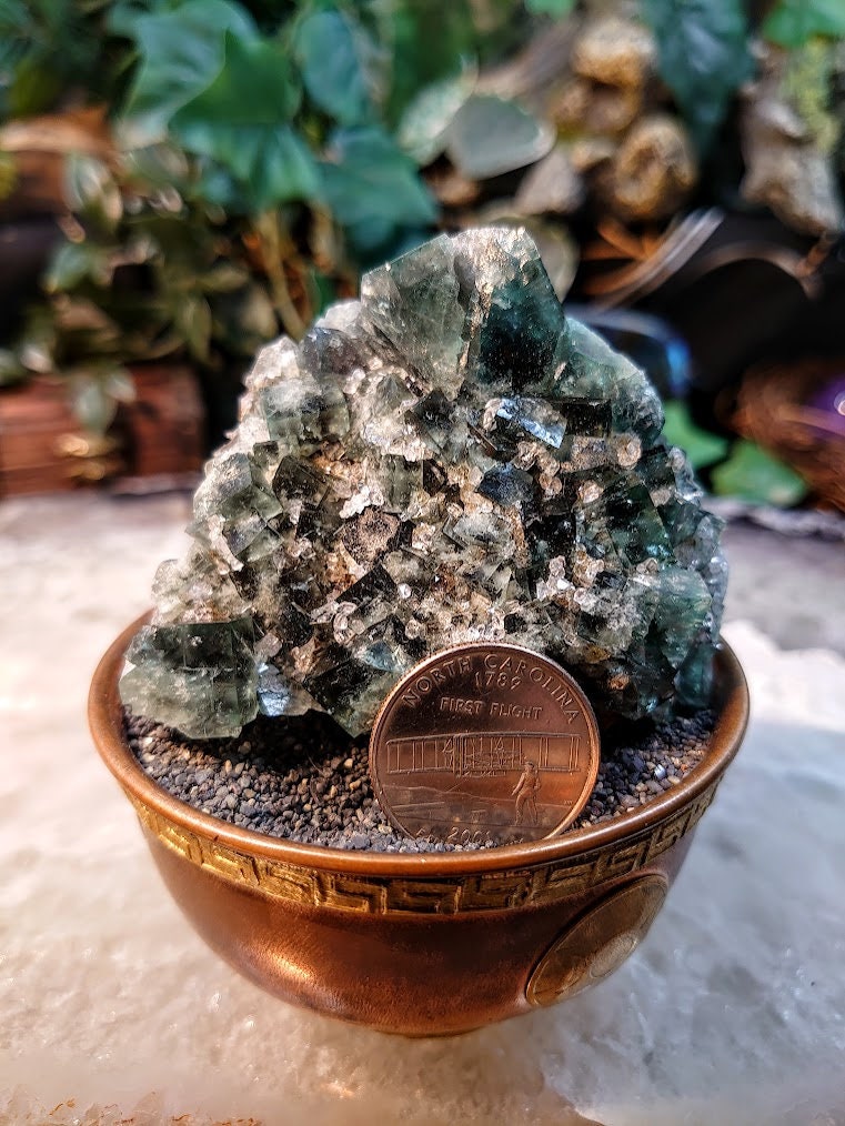 Naughty Gnome Pocket Green/Blue Fluorite Cluster "Diana Maria Mine" on Matrix From United Kingdom / 198g / Small Cabinet Size