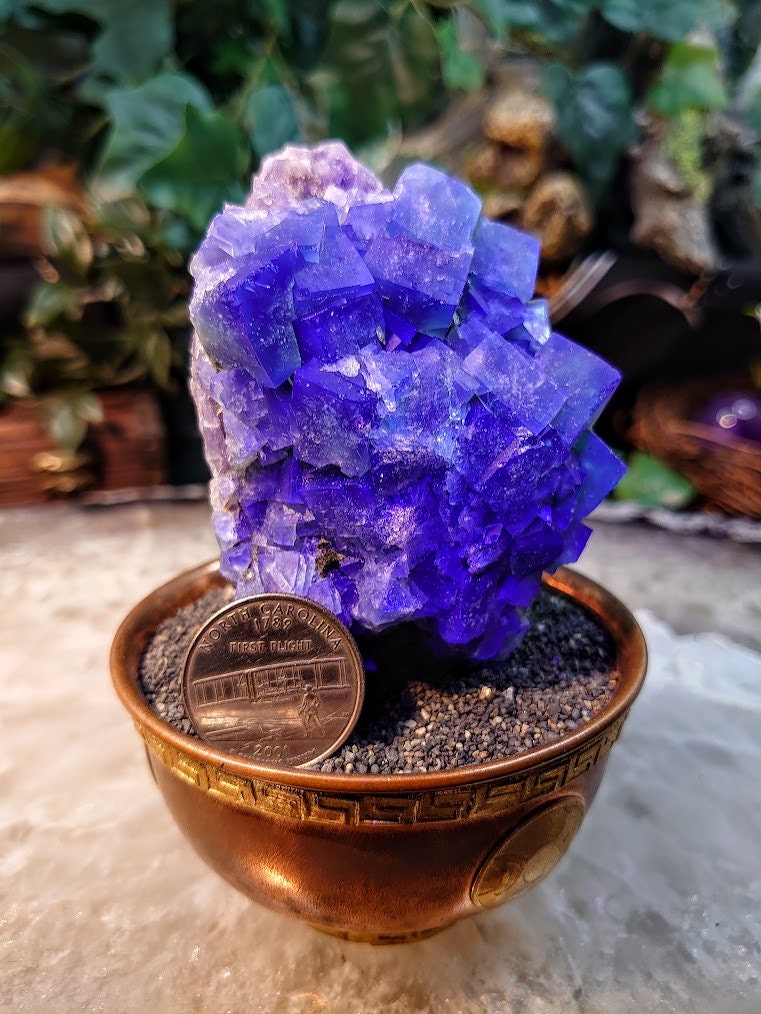 Naughty Gnome Pocket Green/Blue Fluorite Cluster "Diana Maria Mine" on Matrix From United Kingdom / 296g / Small Cabinet Size