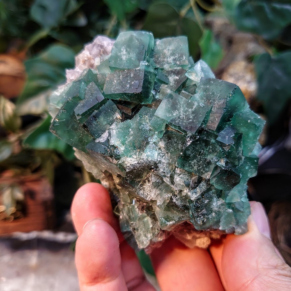 Naughty Gnome Pocket Green/Blue Fluorite Cluster "Diana Maria Mine" on Matrix From United Kingdom / 296g / Small Cabinet Size