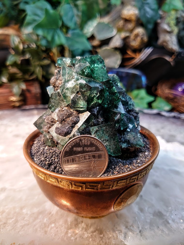 Naughty Gnome Pocket Green/Blue Fluorite Cluster "Diana Maria Mine" on Matrix From United Kingdom / 211g / Small Cabinet Size