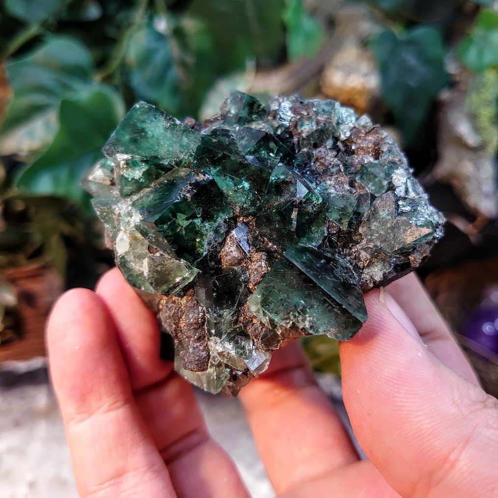 Naughty Gnome Pocket Green/Blue Fluorite Cluster "Diana Maria Mine" on Matrix From United Kingdom / 211g / Small Cabinet Size