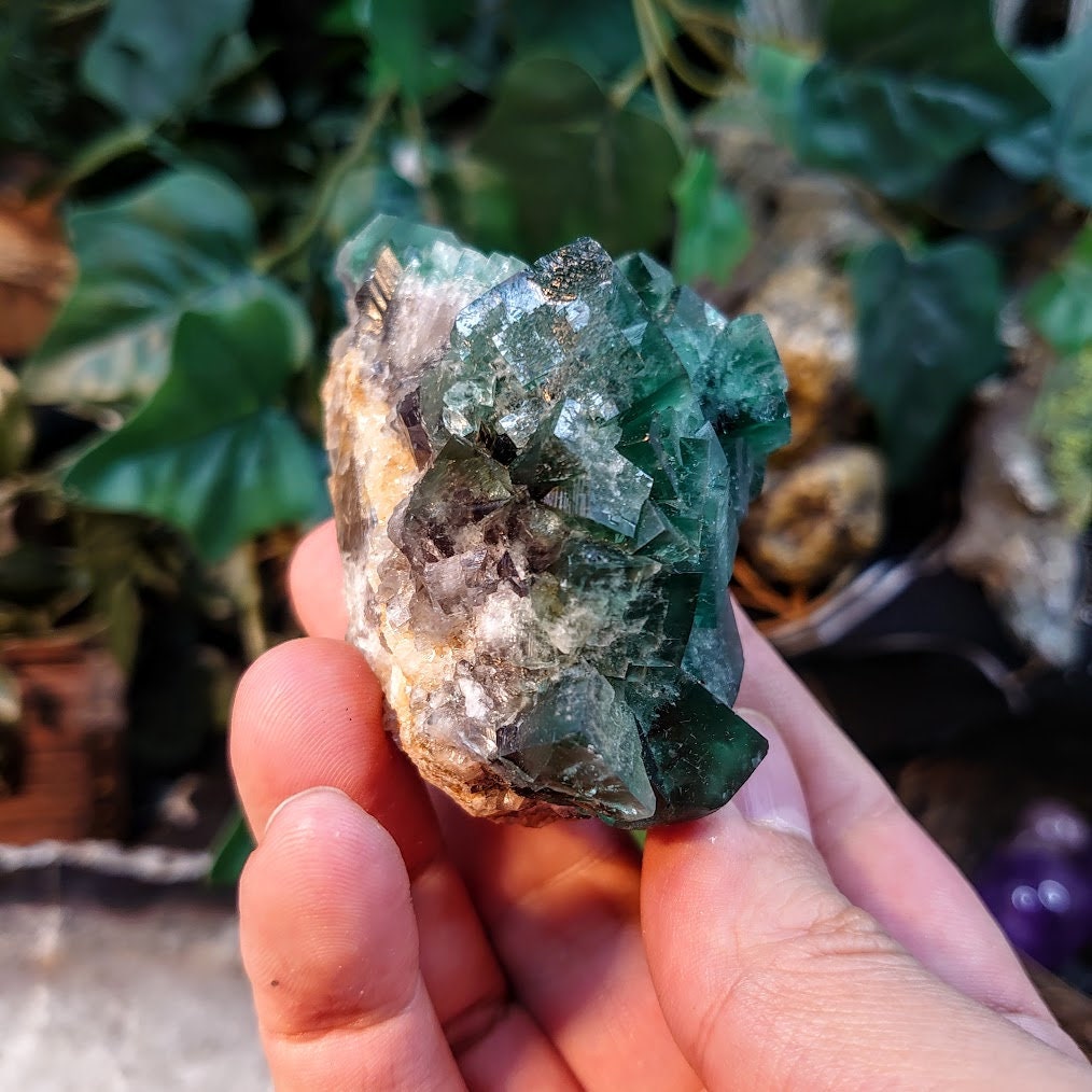 Naughty Gnome Pocket Green/Blue Fluorite Cluster "Diana Maria Mine" on Matrix From United Kingdom / 181g / Small Cabinet Size