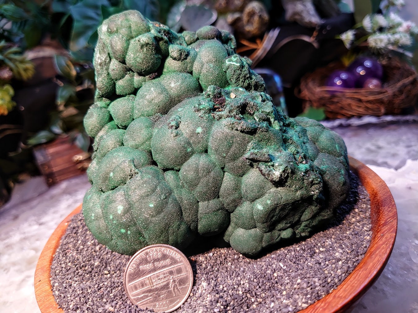 Glittering Botryoidal Malachite Specimen from Kasompe, Congo for Home and Altar Decor / 708g / Collection / Cabinet Size