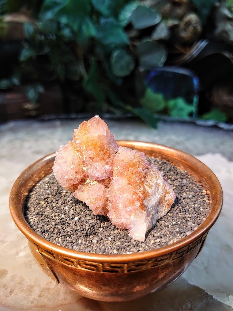 Spirit Quartz Cluster from South Africa / 47.18g / Cactus Quartz / Spirit Amethyst for Crystal Healing / Meditation/ Reiki / Gifting