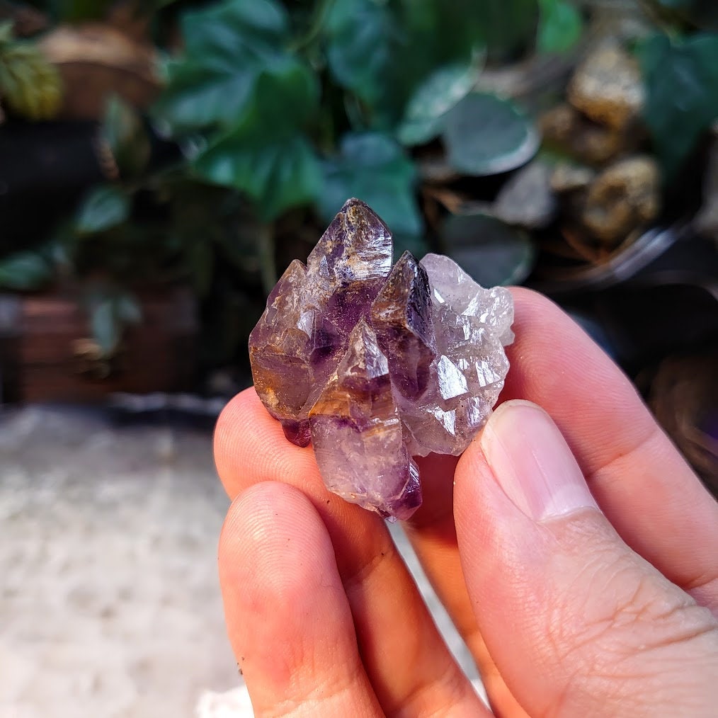 Smoky Amethyst Scepter/Cluster with Cacoxenite from Espírito Santos, Brazil for Collection / 25.58g /  Meditation/ Super Seven Locality