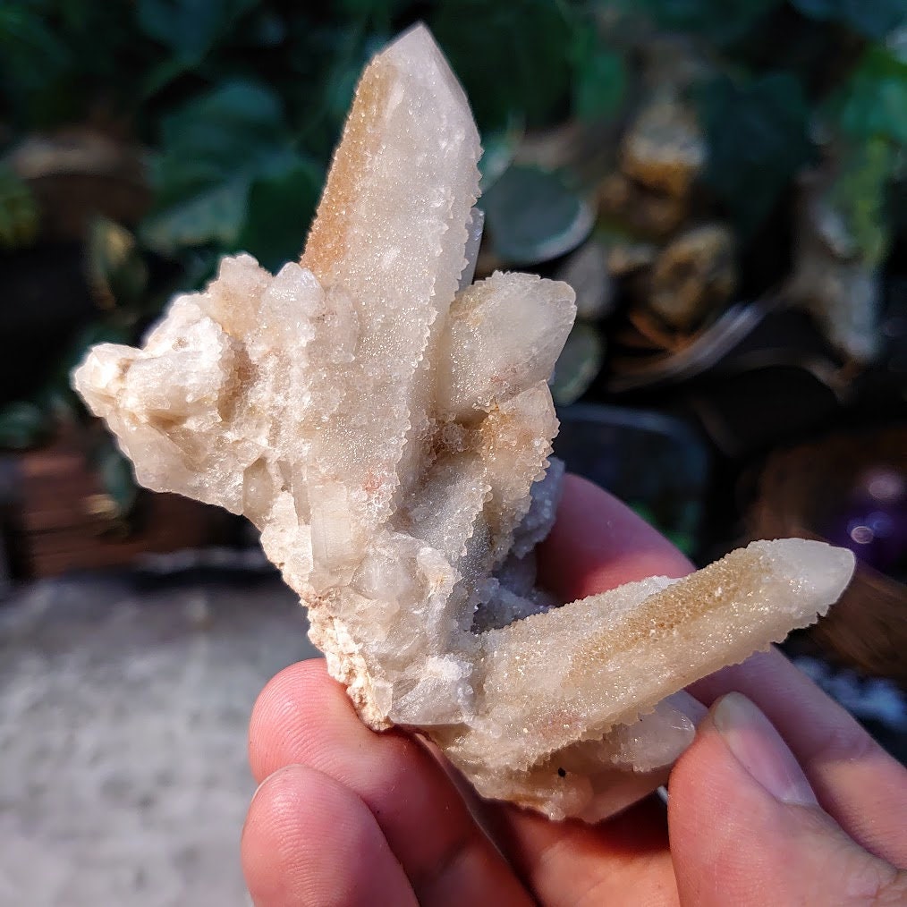 Witch Finger Quartz Cluster from Boekenhouthoek, Mpumalanga, South Africa for Home and Altar Decor / 112.93g / Reiki / Collection