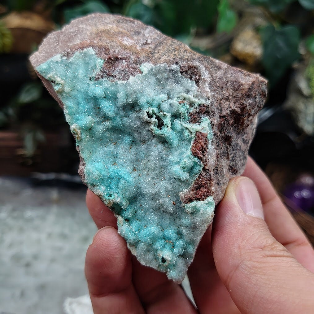 Sparkling Light Blue Chrysocolla Druzy on Matrix for Home and Altar Decor / 238g / Crystal Healing / Collection / Gifting for Her & Him