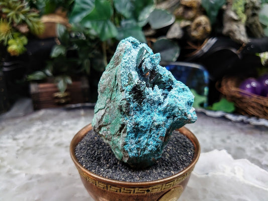 Chrysocolla with Malachite Crystals on Matrix for Home and Altar Decor / 118.73g / Small Cabinet Size / Crystal Healing / Collection