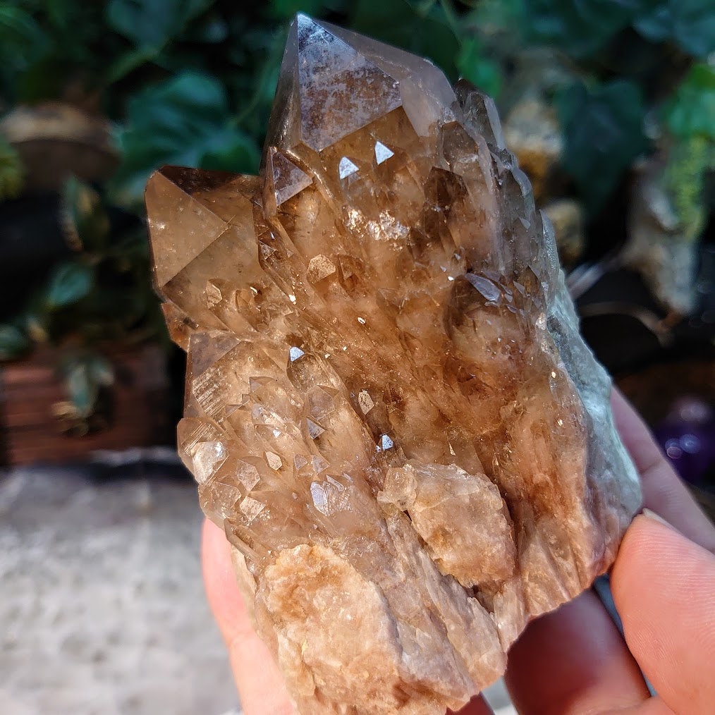 Gorgeous Kundalini Congo Smoky Citrine Cluster with Phantoms for Altar and Home Decor / 430g / Energy Work / Crystal Healing / Reiki