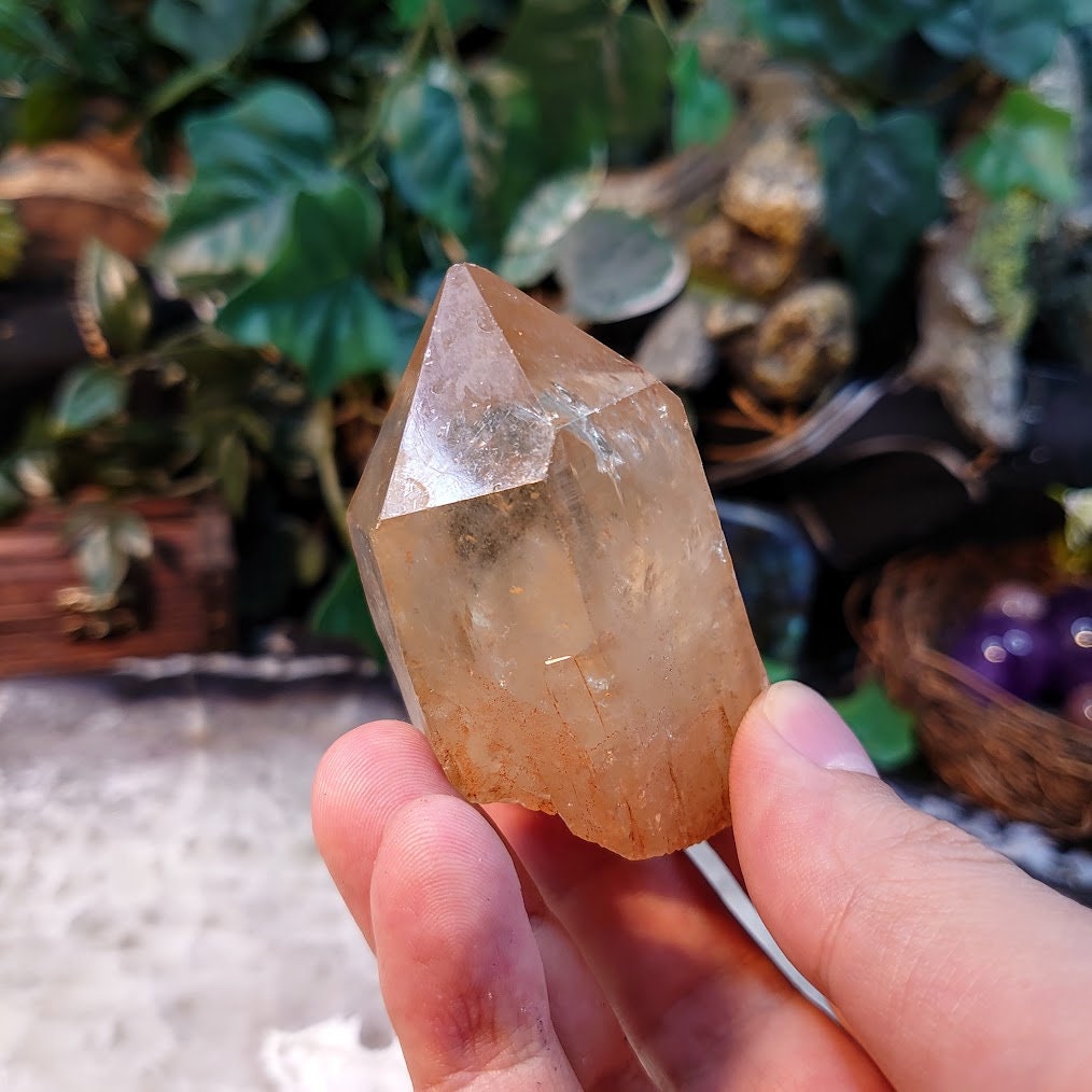 2 1/2" Natural Kundalini Congo Citrine Point for Altar and Home Decor / 125g / Energy Work / Crystal Healing / Reiki