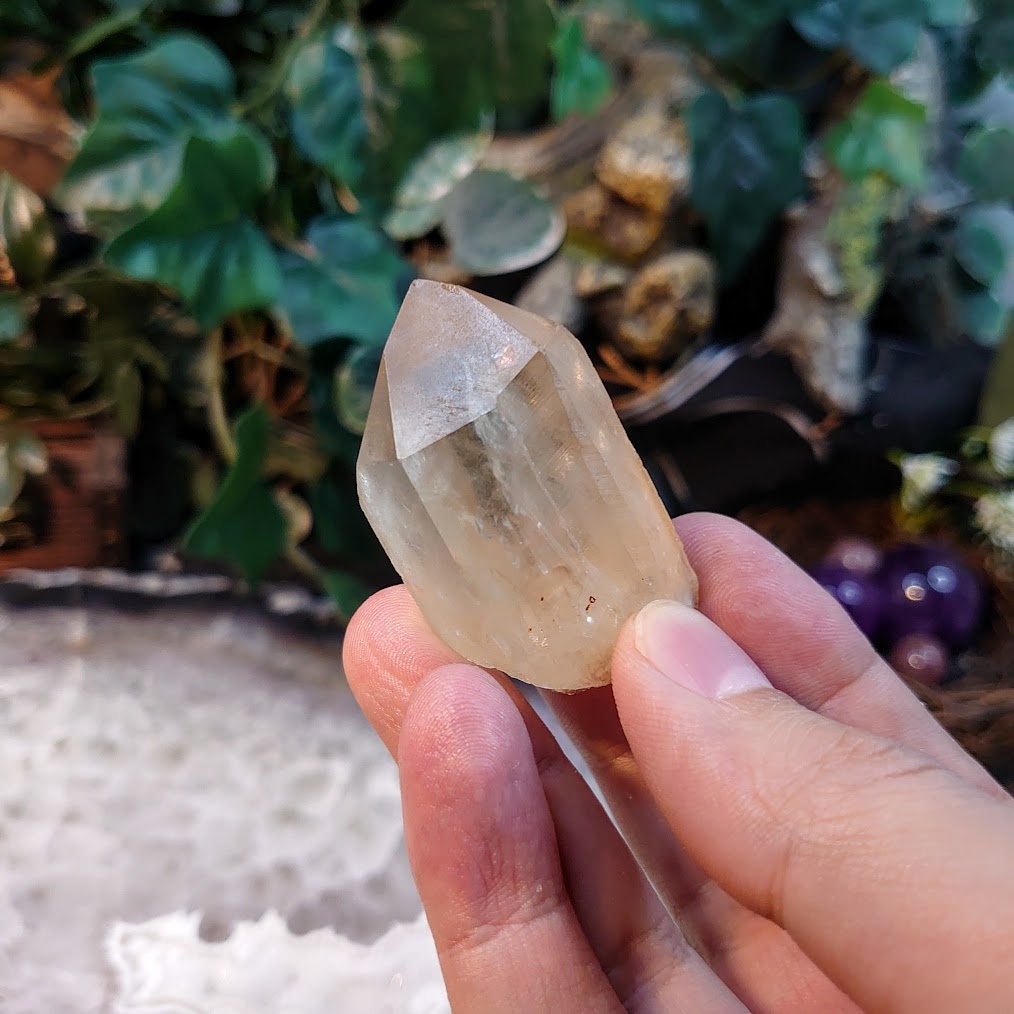 2" Natural Kundalini Congo Citrine Point for Altar and Home Decor / 54.48g / Energy Work / Crystal Healing / Reiki