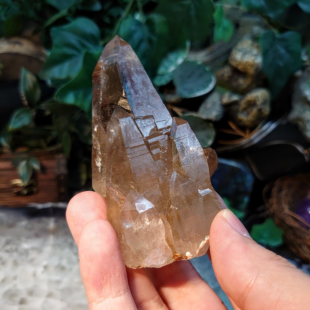 Beautiful Natural Smoky Quartz Cluster from Malawi, Africa for Collection / 164g / Home & Altar Decor / Protection / Small Cabinet Class