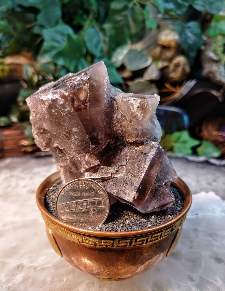 Smoky Purple Fluorite Cluster "Purple Rain Pocket" on Matrix From United Kingdom for Altar Decor / 261g / Small Cabinet Size / Collection