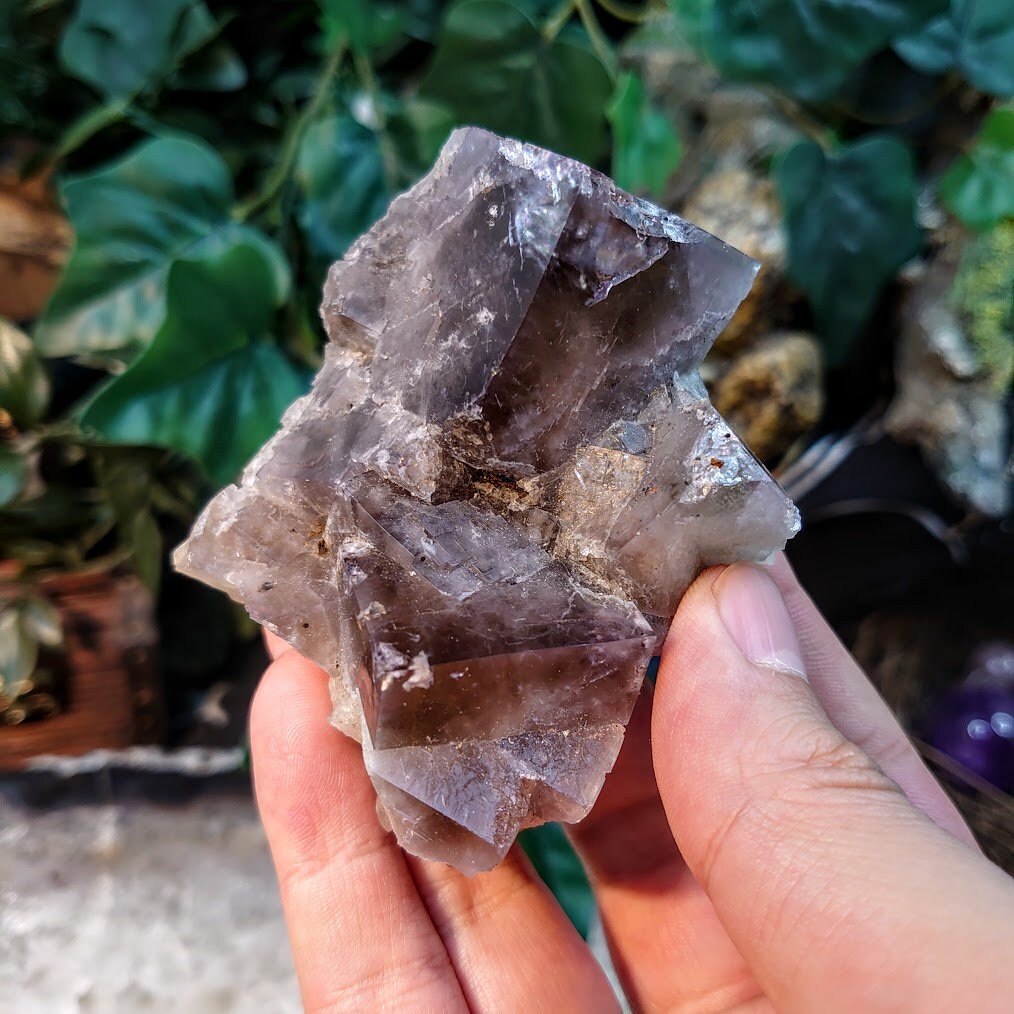 Smoky Purple Fluorite Cluster "Purple Rain Pocket" on Matrix From United Kingdom for Altar Decor / 261g / Small Cabinet Size / Collection