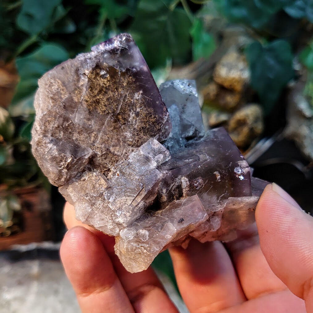 Smoky Purple Fluorite Cluster "Purple Rain Pocket" on Matrix From United Kingdom for Altar Decor / 261g / Small Cabinet Size / Collection