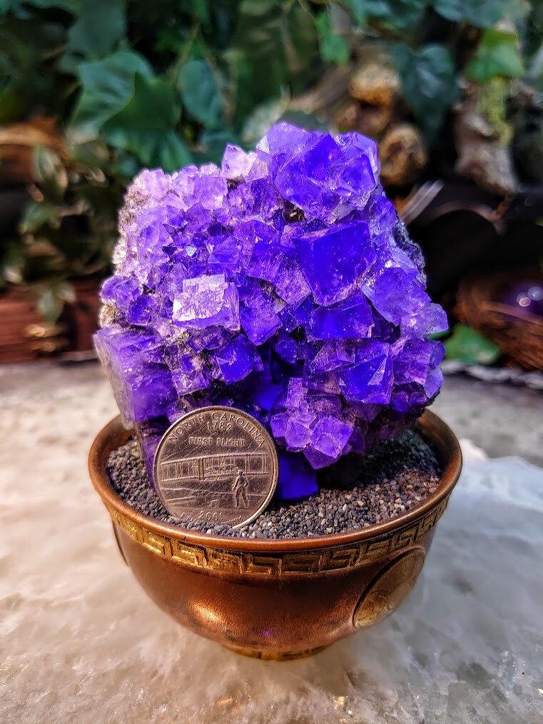 Smoky Purple Fluorite Cluster "Purple Rain Pocket" on Matrix From United Kingdom for Altar Decor / 218g / Small Cabinet Size / Collection