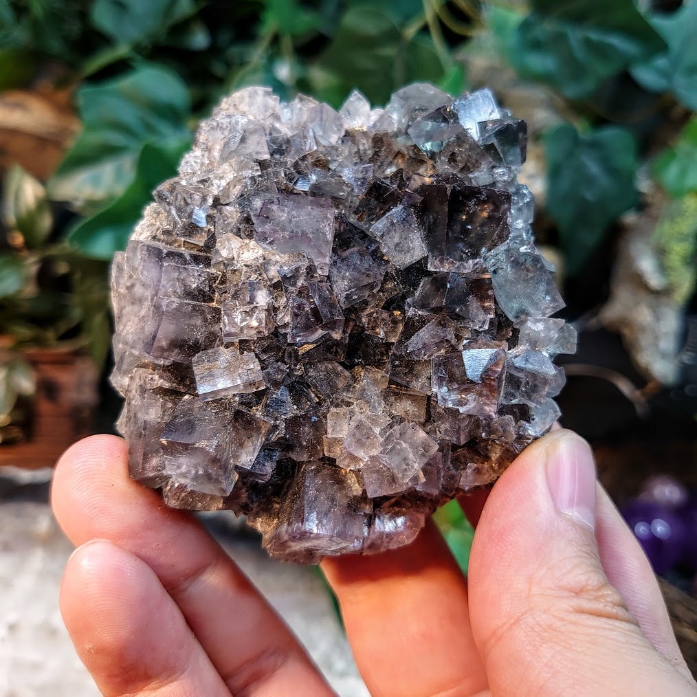 Smoky Purple Fluorite Cluster "Purple Rain Pocket" on Matrix From United Kingdom for Altar Decor / 218g / Small Cabinet Size / Collection