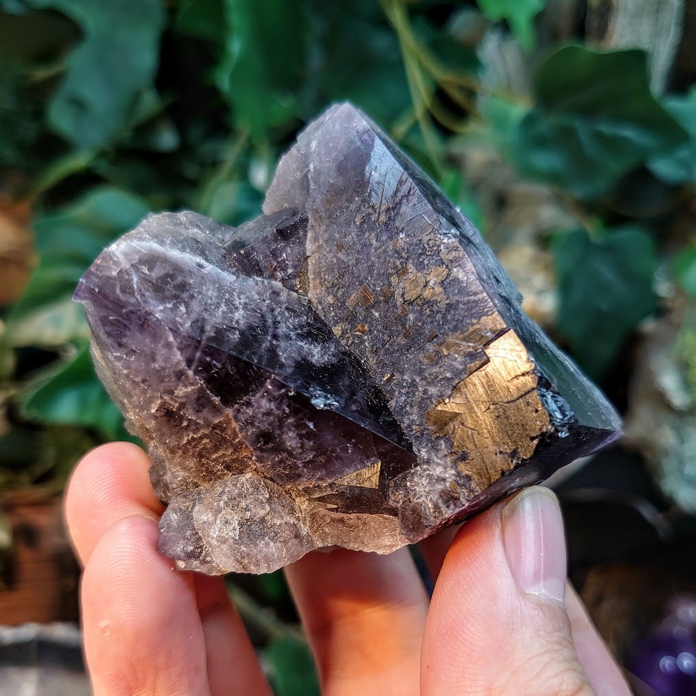 Purple Fluorite Cluster "Purple Rain Pocket" From United Kingdom for Altar Decor / 210g / Small Cabinet Class / Collection