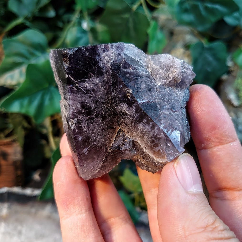 Purple Fluorite Cluster "Purple Rain Pocket" From United Kingdom for Altar Decor / 210g / Small Cabinet Class / Collection