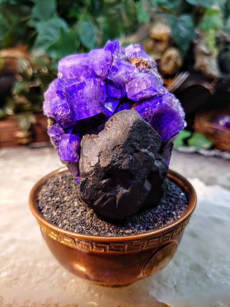 Smoky Purple Fluorite Cluster with Galena "Purple Rain Pocket" on Matrix From United Kingdom for Altar Decor / 510g / Small Cabinet Size