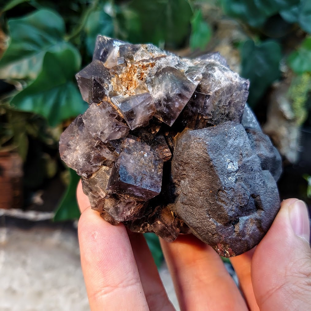 Smoky Purple Fluorite Cluster with Galena "Purple Rain Pocket" on Matrix From United Kingdom for Altar Decor / 510g / Small Cabinet Size