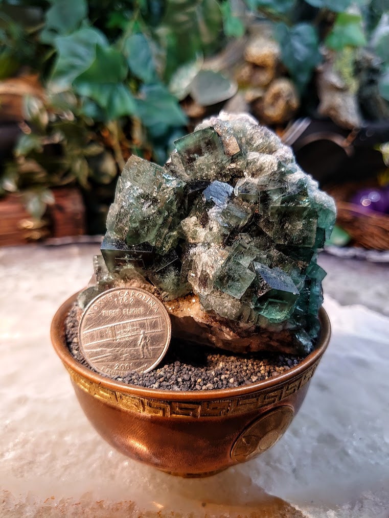 Naughty Gnome Pocket Green/Blue Fluorite Cluster "Diana Maria Mine" on Matrix From United Kingdom / 250g / Small Cabinet Size