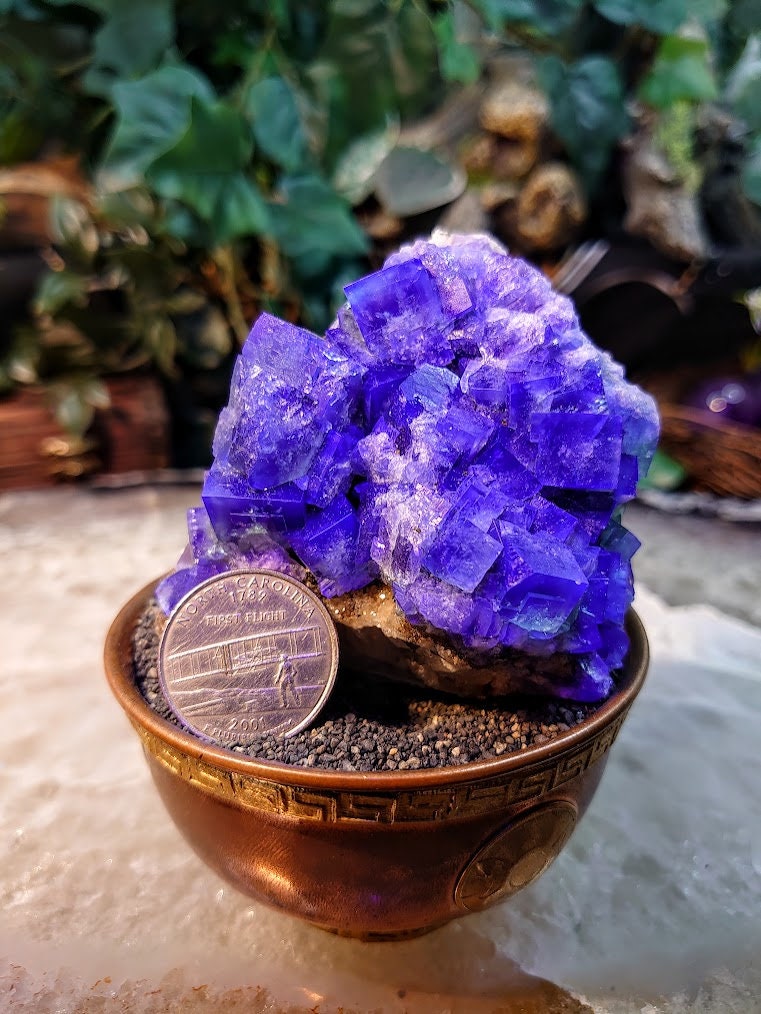 Naughty Gnome Pocket Green/Blue Fluorite Cluster "Diana Maria Mine" on Matrix From United Kingdom / 250g / Small Cabinet Size