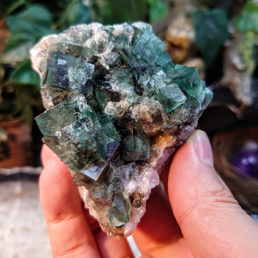 Naughty Gnome Pocket Green/Blue Fluorite Cluster "Diana Maria Mine" on Matrix From United Kingdom / 250g / Small Cabinet Size