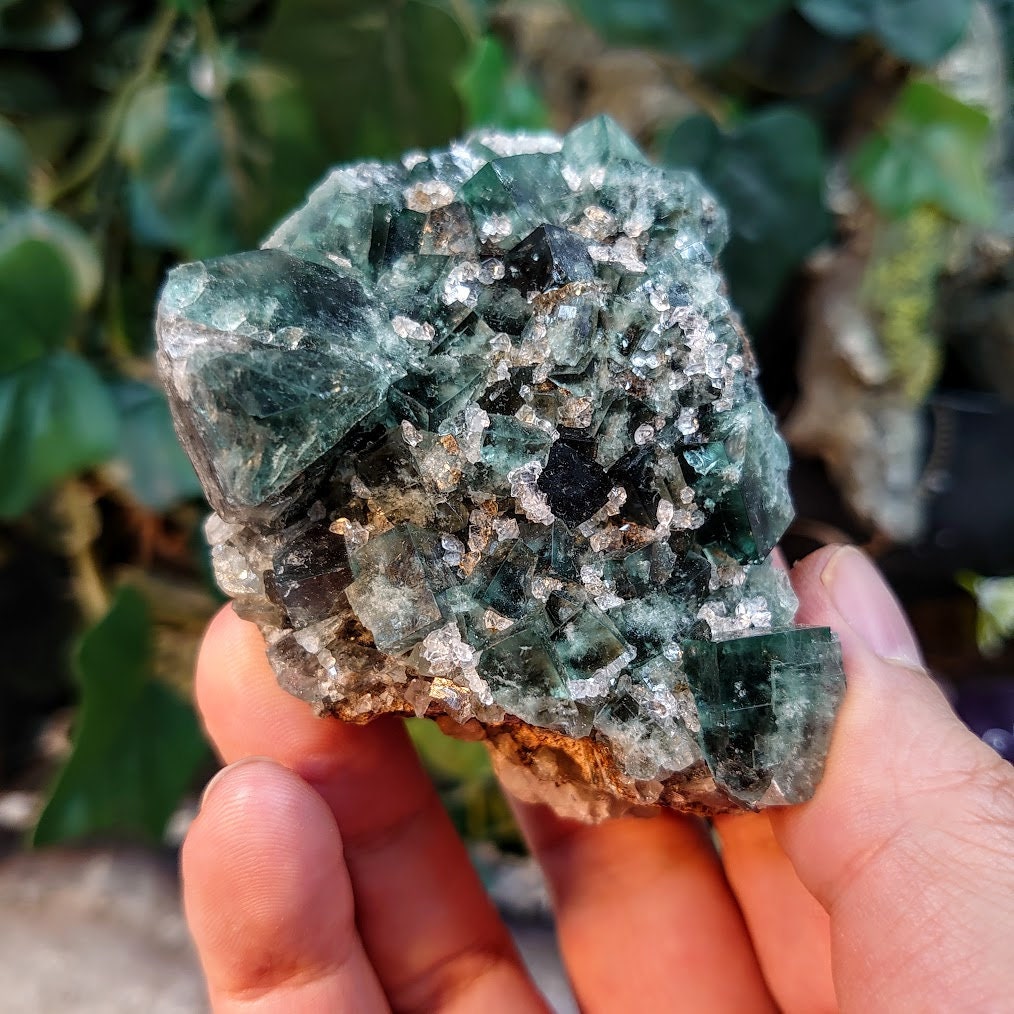 Naughty Gnome Pocket Green/Blue Fluorite Cluster "Diana Maria Mine" on Matrix From United Kingdom / 198g / Small Cabinet Size