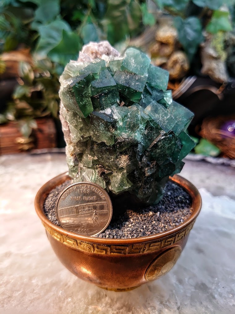 Naughty Gnome Pocket Green/Blue Fluorite Cluster "Diana Maria Mine" on Matrix From United Kingdom / 296g / Small Cabinet Size