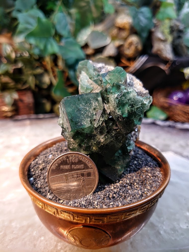 Naughty Gnome Pocket Green/Blue Fluorite Cluster "Diana Maria Mine" on Matrix From United Kingdom / 181g / Small Cabinet Size