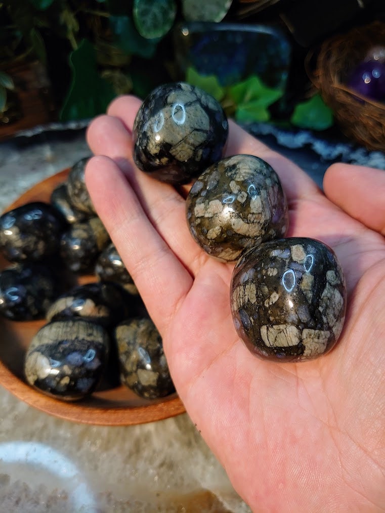 Large Glaucophane Tumbled Stones from Wisconsin, USA / Polished Pebble for Crystal Healing & Grids / Reiki / Meditation / Energy Work / Gift