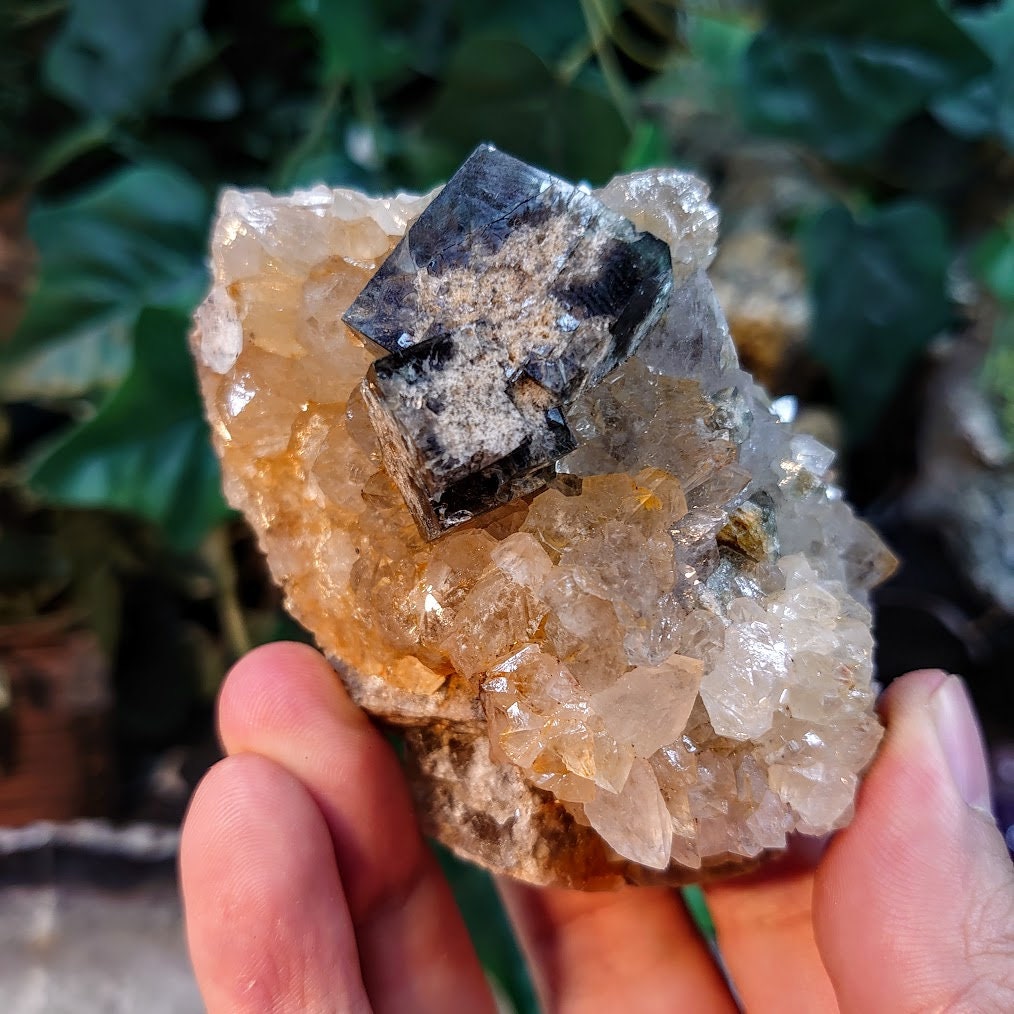 Milky Way Pocket Blue/Green Fluorite Cluster on Quartz, Diana Maria Mine, Rogerley Quarry From United Kingdom / 310g / Small Cabinet Size