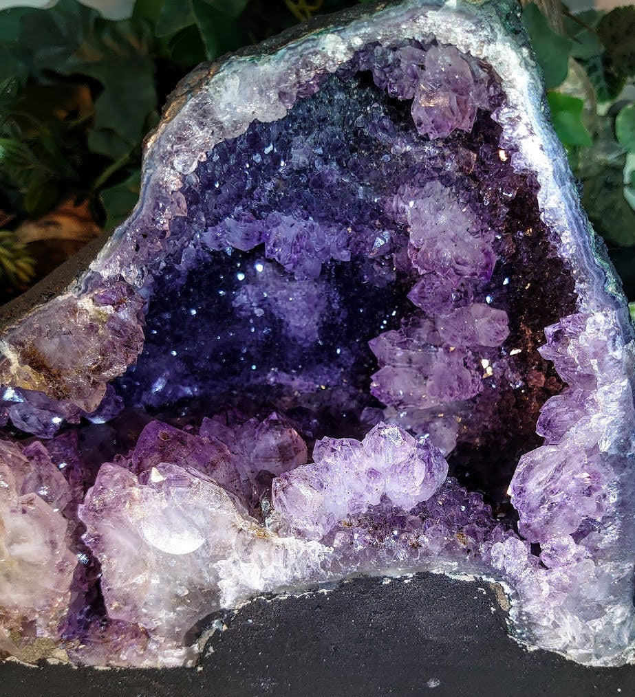 Epic Large Amethyst Geode Cathedral from Brazil for Collection / 8,854g / Gifts / Altar Decor  / Delicious Prism Grapes / Large Museum Size