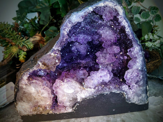 Epic Large Amethyst Geode Cathedral from Brazil for Collection / 8,854g / Gifts / Altar Decor  / Delicious Prism Grapes / Large Museum Size