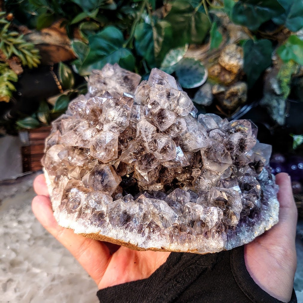 Large Smoky Amethyst Cluster from Madhya Pradesh, India for Altar Decor / 1,950g / Home & Altar Decor / Delicious Prism Grapes/ Cabinet Size