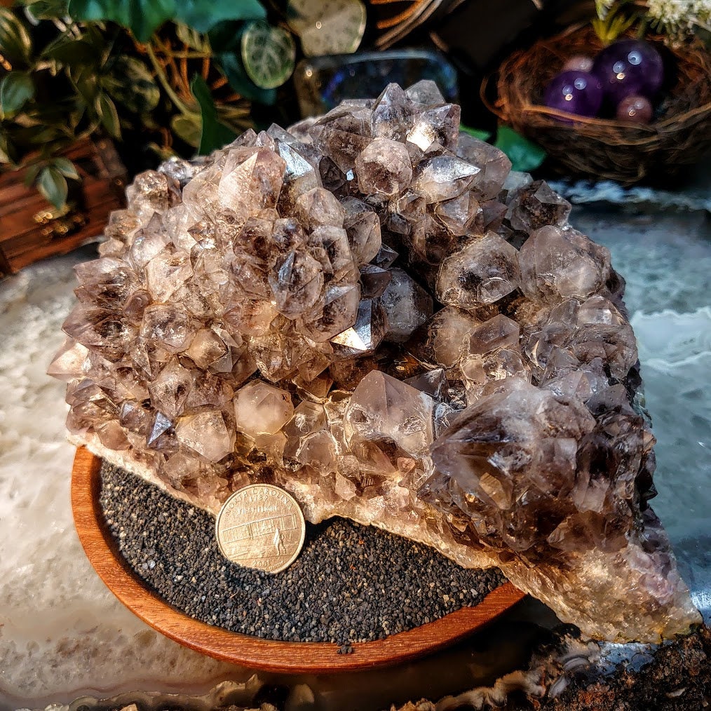 Large Smoky Amethyst Cluster from Madhya Pradesh, India for Altar Decor / 1,950g / Home & Altar Decor / Delicious Prism Grapes/ Cabinet Size