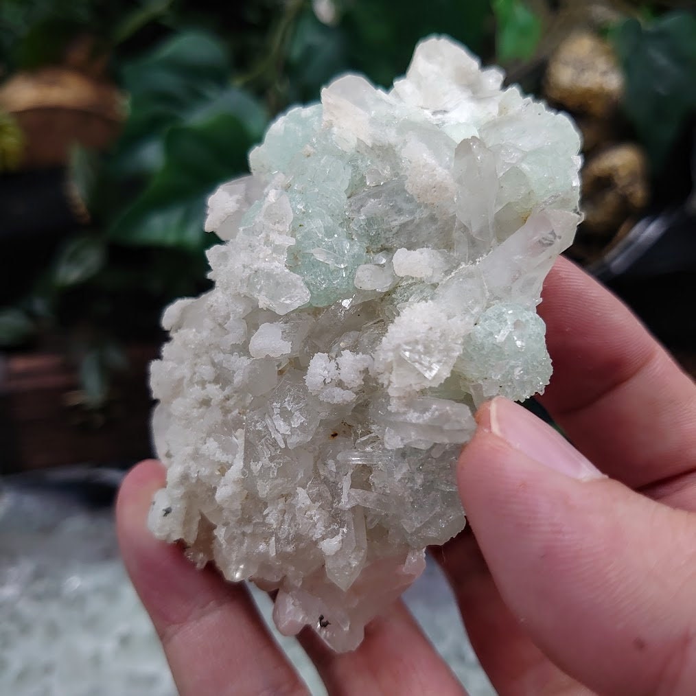 Prehnite with Clear Quartz From Yunnan Province, China / 180g / Small Cabinet Size / for Desk Decor / Meditation / Collection