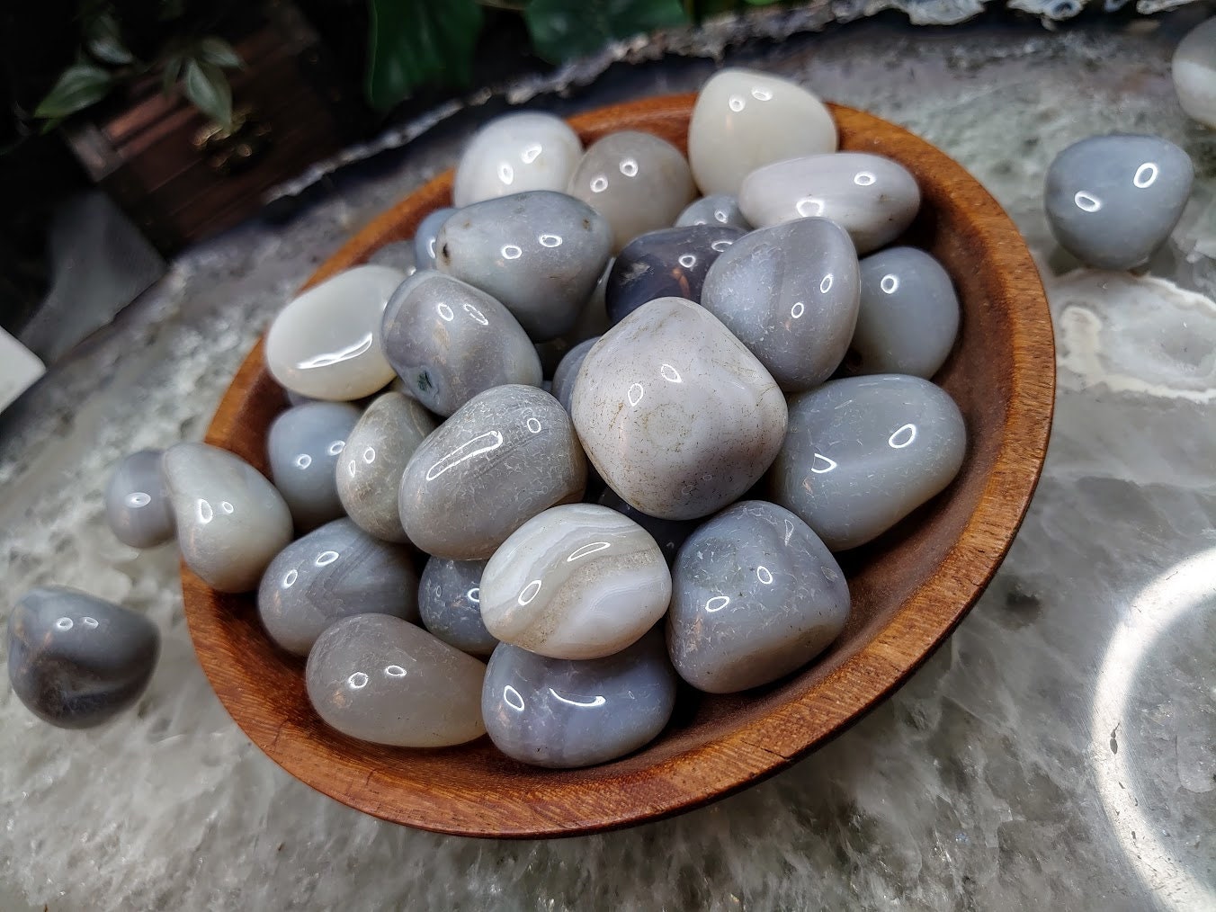 Grey Chalcedony Tumbled Stones from India for Altar and Home Decor / Crystal Healing / Reiki / Collection