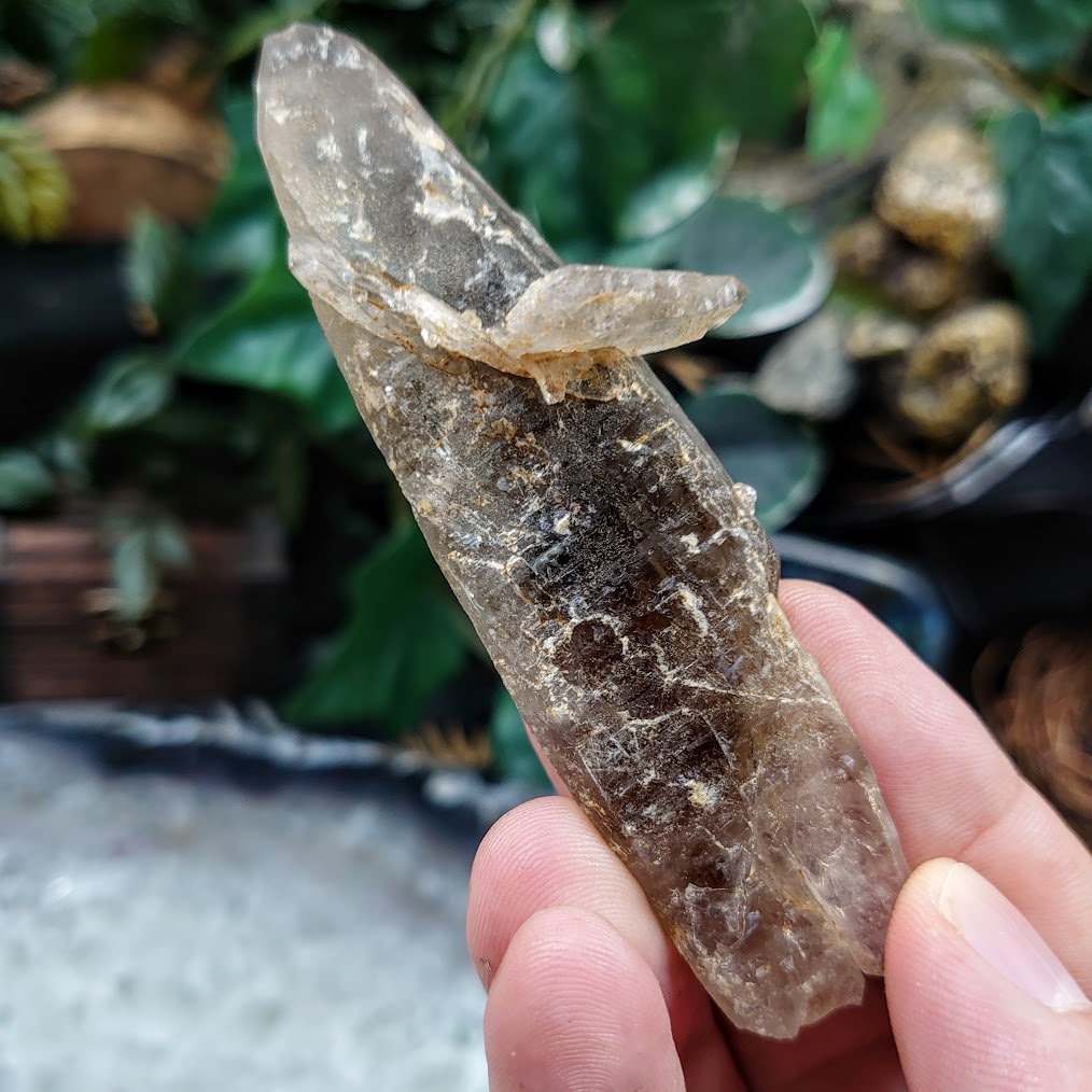 3 3/4" Smoky Quartz Crystal from Malawi, Africa for Collection / 38.60g / Home and Altar Decor / Protection / Crystal Healing