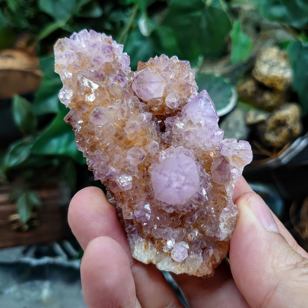 Spirit Quartz Cluster from South Africa / 99.03g / Cactus Quartz / Spirit Amethyst for Crystal Healing / Meditation/ Reiki / Gifting