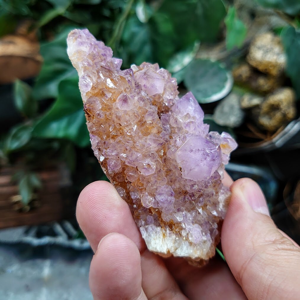 Spirit Quartz Cluster from South Africa / 99.03g / Cactus Quartz / Spirit Amethyst for Crystal Healing / Meditation/ Reiki / Gifting